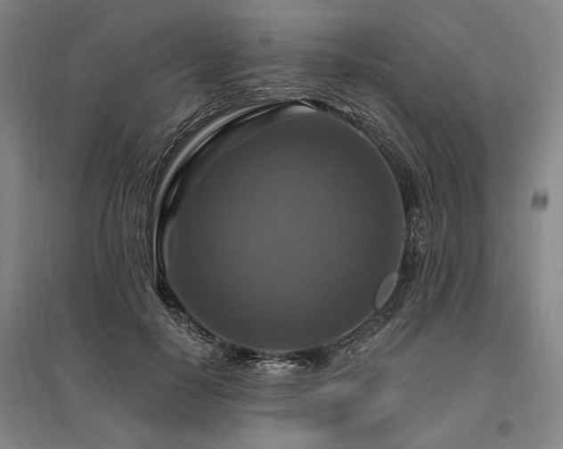 X0000095550650200712141556