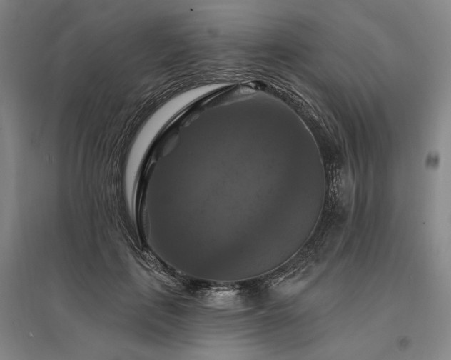 X0000095550651200712141556