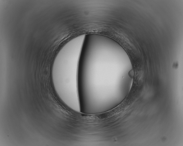 X0000095550652200712141556