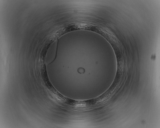 X0000095550653200712141556