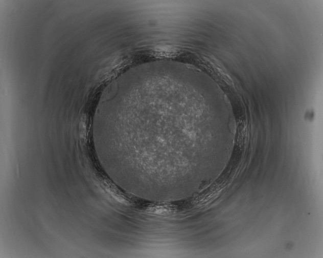 X0000095550655200712141556