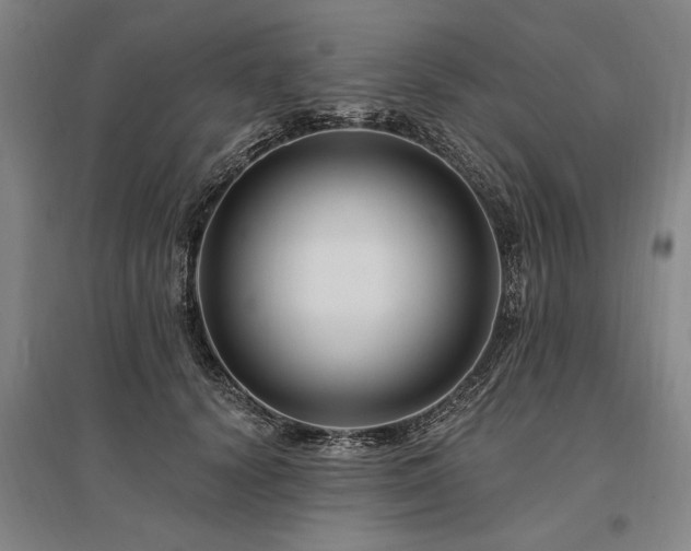 X0000095550656200712141556