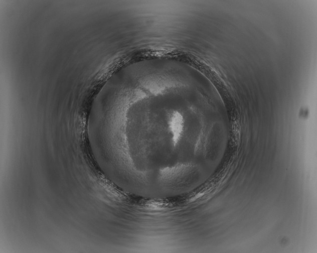 X0000095550657200712141556