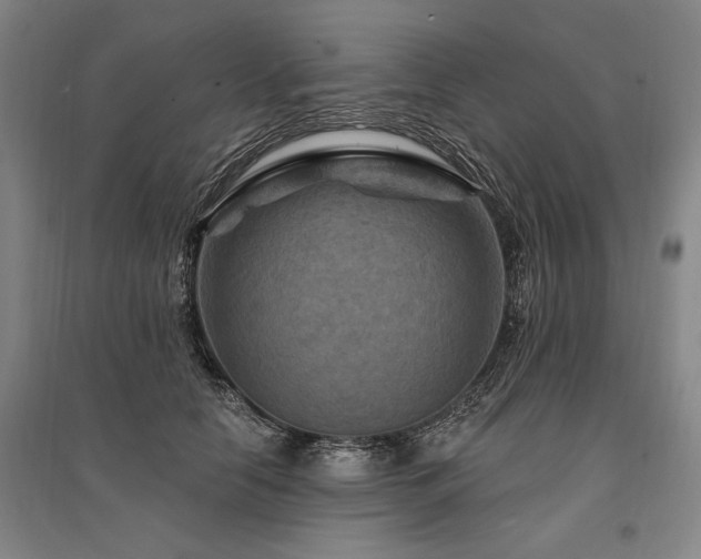 X0000095550658200712141556