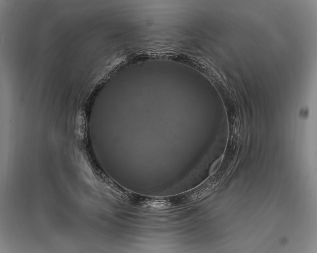 X0000095550659200712141556