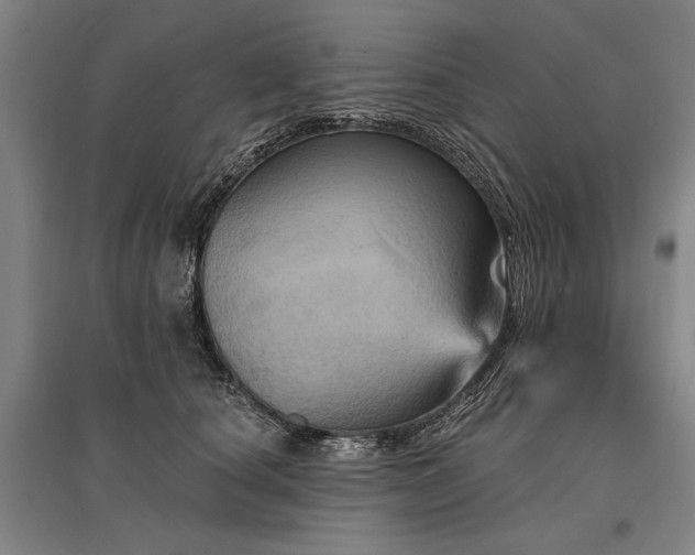 X0000095550660200712141556