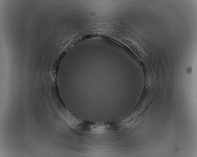 X0000095550661200712141556