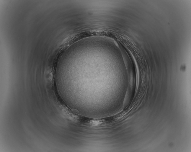 X0000095550662200712141556