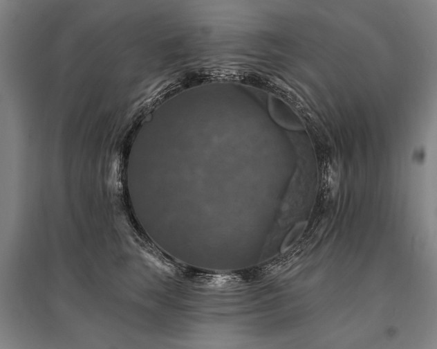 X0000095550663200712141556