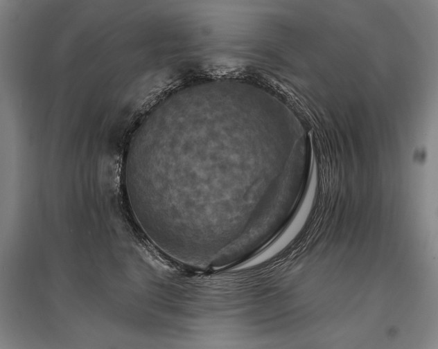 X0000095550664200712141556