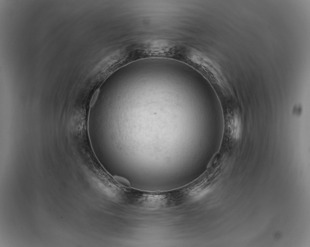 X0000095550665200712141556