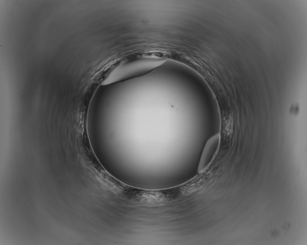 X0000095550666200712141556