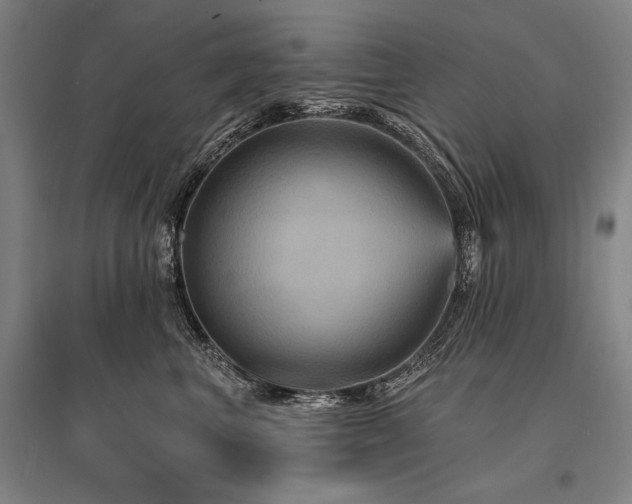 X0000095550667200712141556