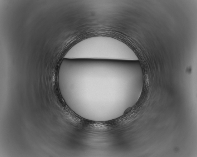 X0000095550668200712141556