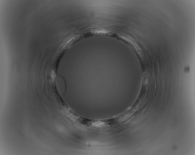 X0000095550669200712141556