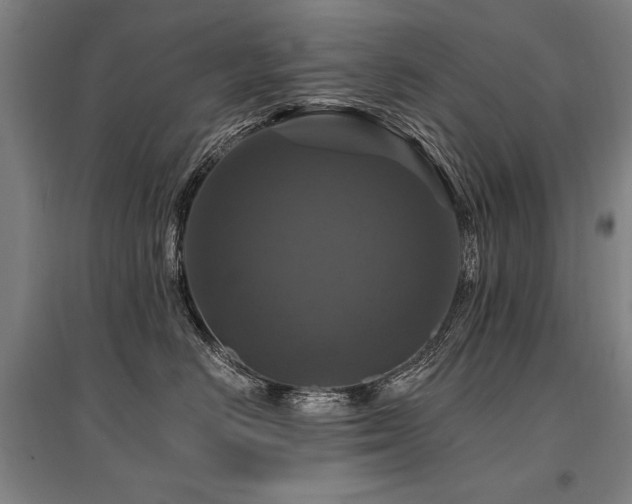 X0000095550670200712141556