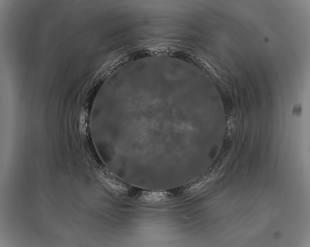 X0000095550671200712141556