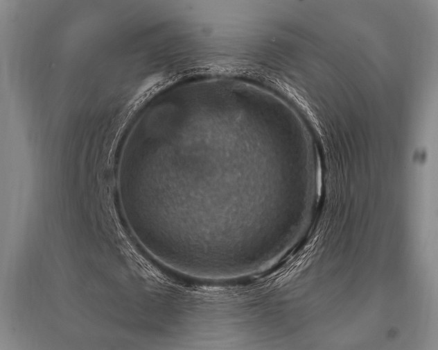 X0000095550673200712141556