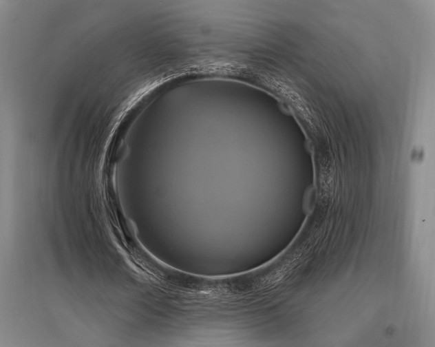 X0000095550674200712141556