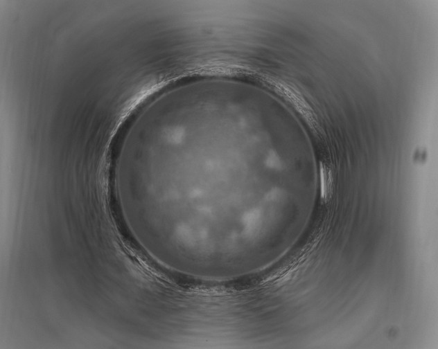 X0000095550675200712141556