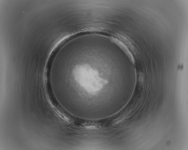 X0000095550676200712141556