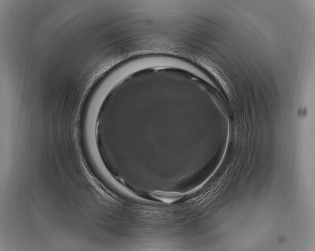 X0000095550677200712141556