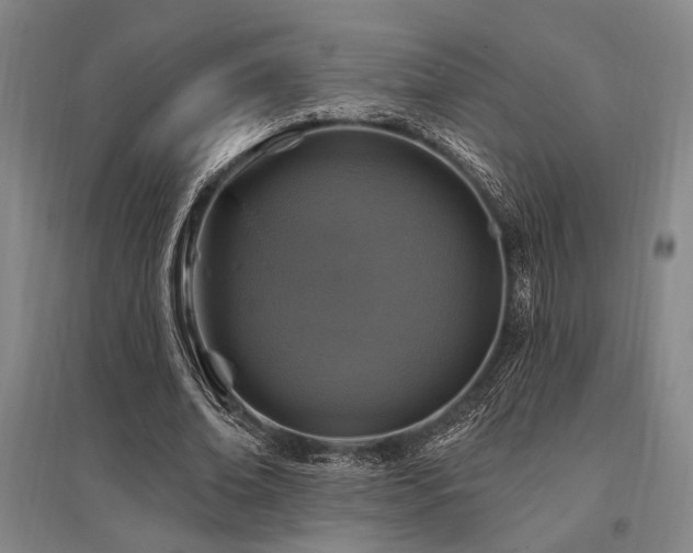 X0000095550678200712141556