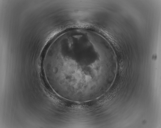 X0000095550679200712141556