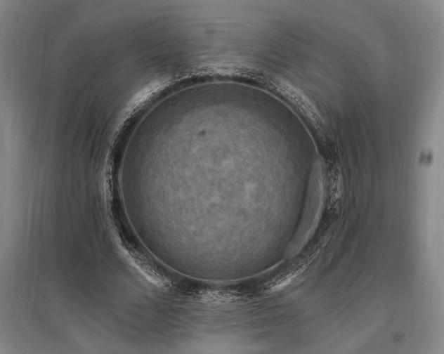 X0000095550680200712141556