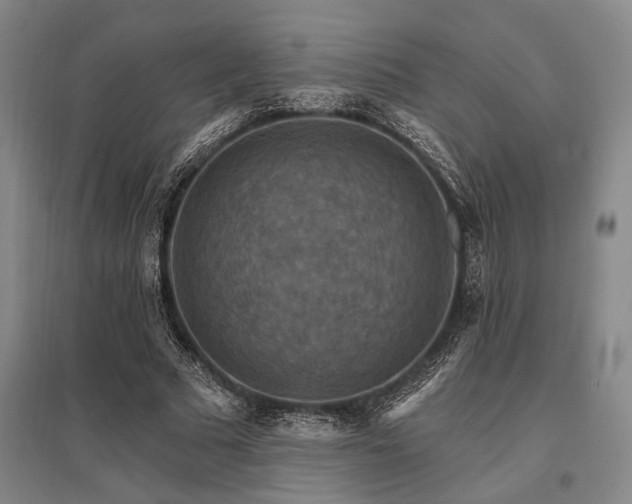 X0000095550681200712141556