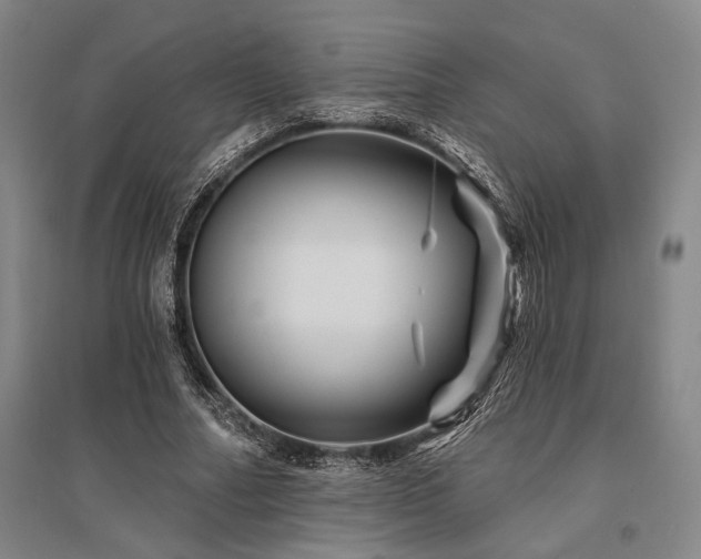 X0000095550682200712141556