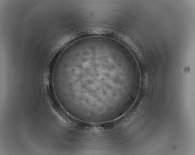 X0000095550683200712141556