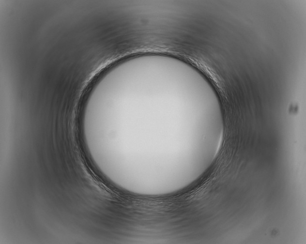 X0000095550684200712141556