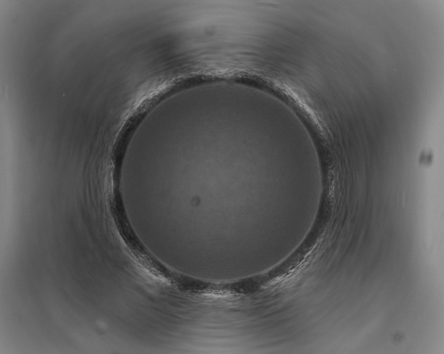 X0000095550685200712141556