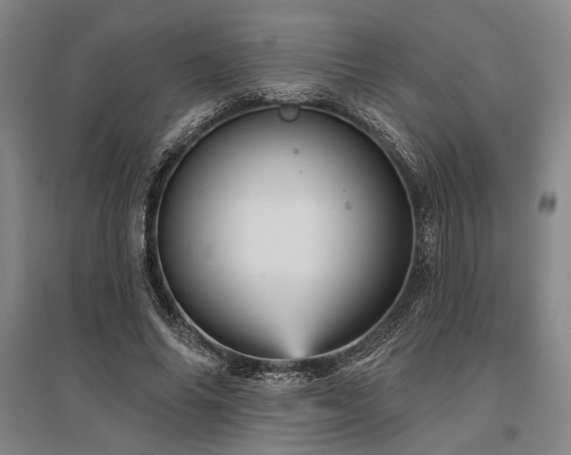 X0000095550686200712141556