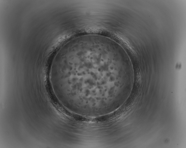 X0000095550687200712141556