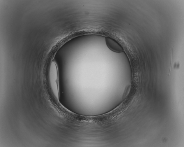 X0000095550688200712141556