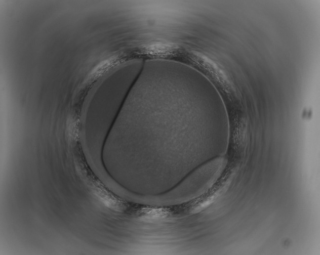 X0000095550689200712141556