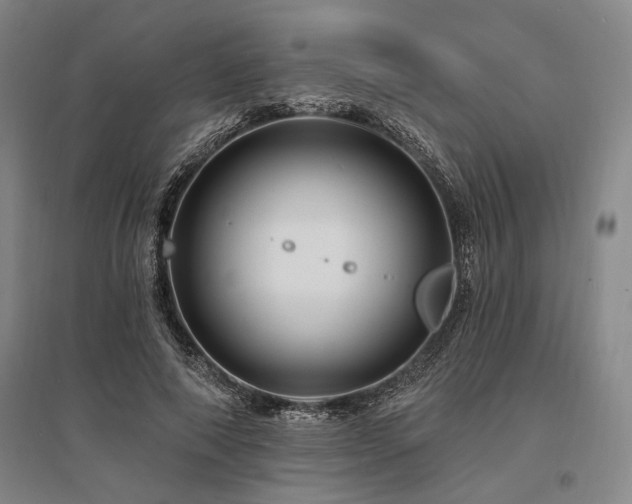 X0000095550690200712141556