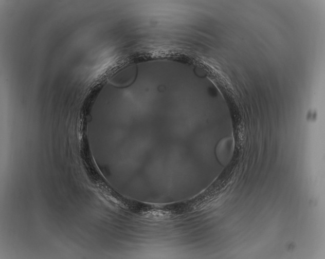 X0000095550691200712141556