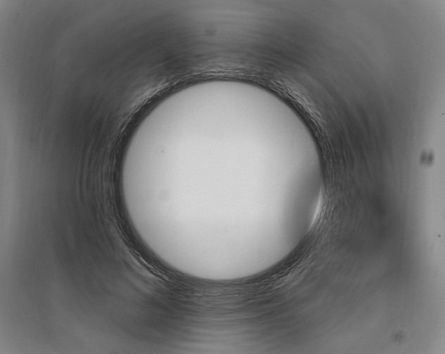 X0000095550692200712141556