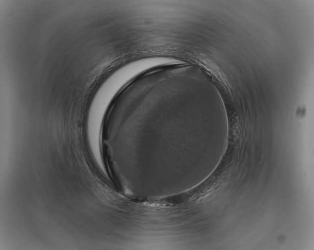 X0000095550693200712141556