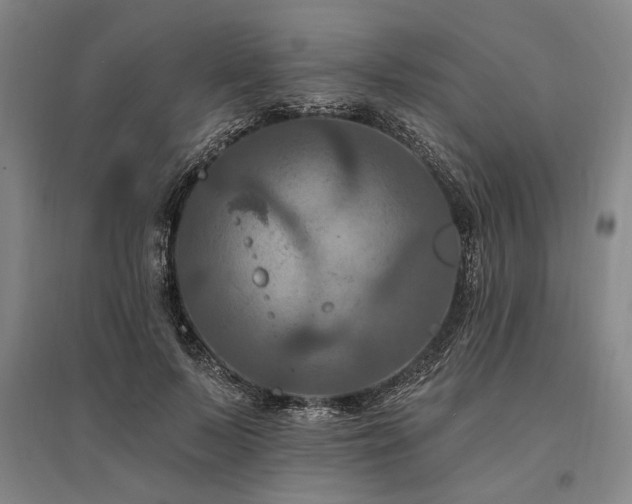 X0000095550695200712141555