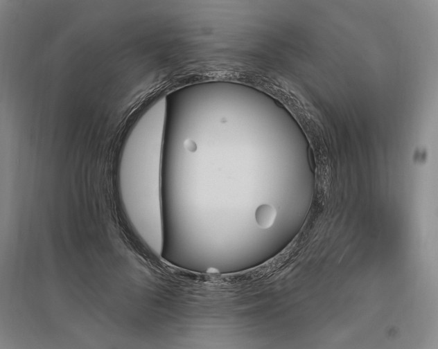 X0000095550696200712141555