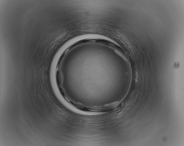 X0000095550697200712141555