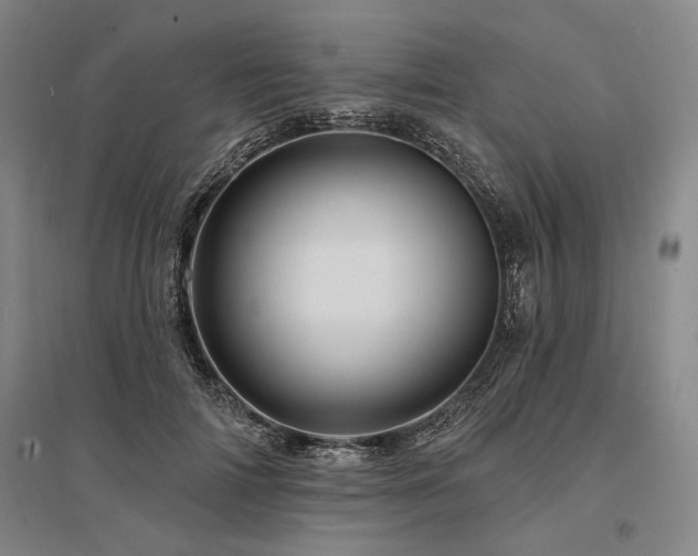 X0000095550698200712141555