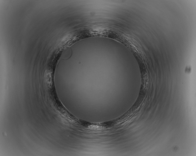 X0000095550699200712141555