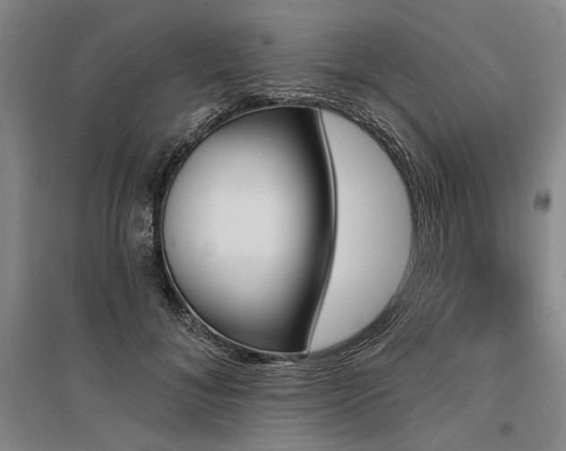 X0000095550700200712141555