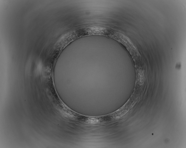 X0000095550701200712141555