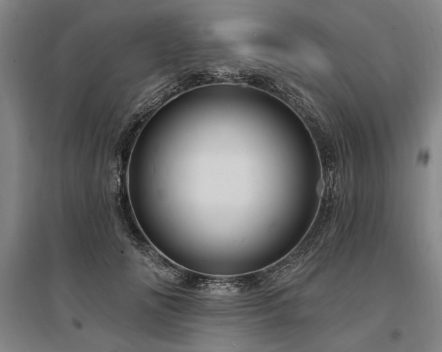 X0000095550702200712141555